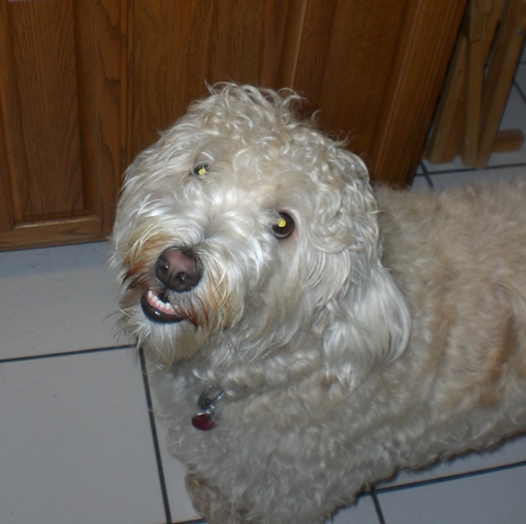 Sophie Second Birthday!